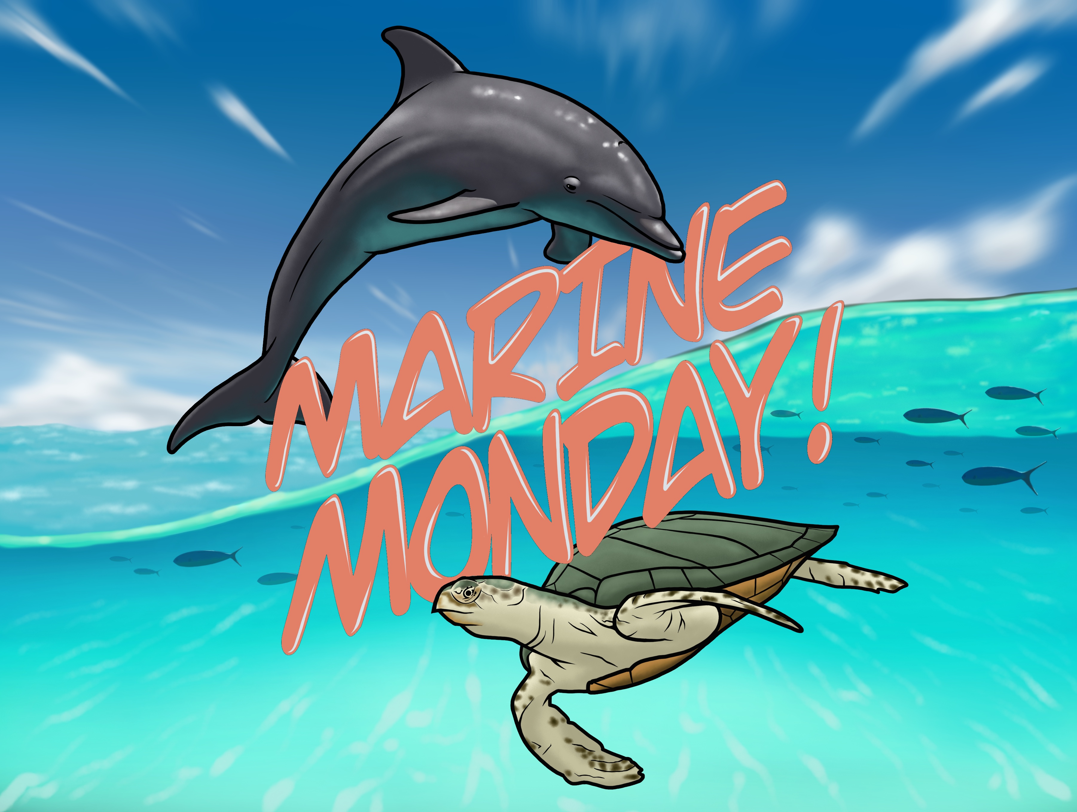 Marine Monday logo