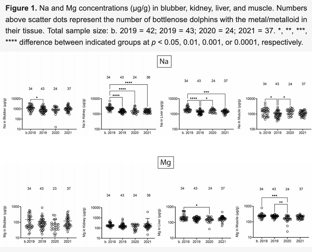 Scatter plot depicting sodium (Na) and magnesium (Mg) concentrations in dolphins and text describing figure: Figure 1. Na and Mg concentrations (µg/g) in blubber, kidney, liver, and muscle. Numbers above scatter dots represent the number of bottlenose dolphins with the metal/metalloid in their tissue. Total sample size: b. 2019 = 42; 2019 = 43; 2020 = 24; 2021 = 37. *, **, ***, **** difference between indicated groups at p < 0.05, 0.01, 0.001, or 0.0001, respectively.
