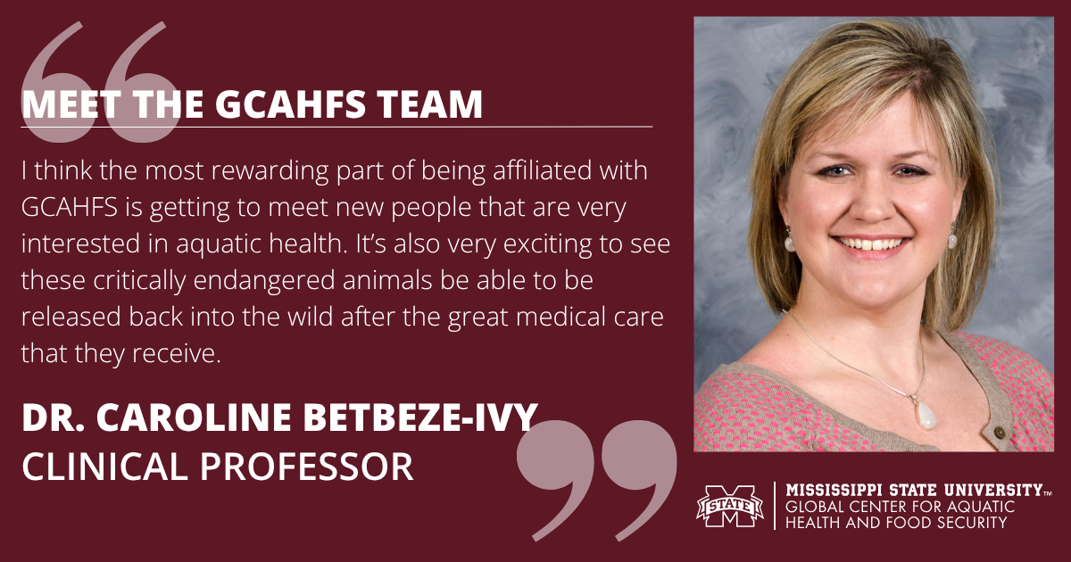 Headshot of Dr. Betbeze-Ivy on maroon background. Text reads: "MEET THE GCAHFS TEAM. I think the most rewarding part of being affiliated with GCAHFS is getting to meet new people that are very interested in aquatic health. It’s also very exciting to see these critically endangered animals be able to be released back into the wild after the great medical care that they receive. DR. CAROLINE BETBEZE-IVY. CLINICAL PROFESSOR."