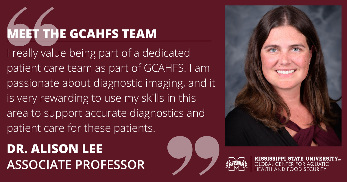 Headshot of Dr. Alison Lee on maroon background. Text reads: "MEET THE GCAHFS TEAM. I really value being part of a dedicated patient care team as part of GCAHFS. I am passionate about diagnostic imaging, and it is very rewarding to use my skills in this area to support accurate diagnostics and patient care for these patients. DR. ALISON LEE. ASSOCIATE PROFESSOR."